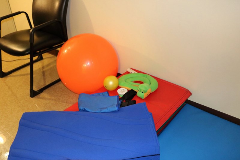 weighted objects and exercise balls