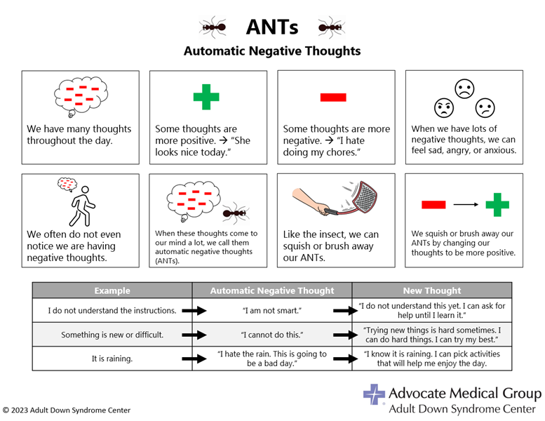 ANTs overview, opens in new window
